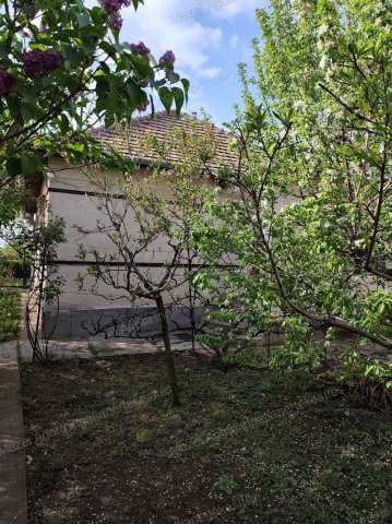 Kiadó családi ház, albérlet, Gyálon 260 E Ft / hó, 2 szobás