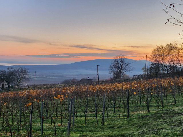 Eladó telek, Szentantalfán 62.99 M Ft / költözzbe.hu