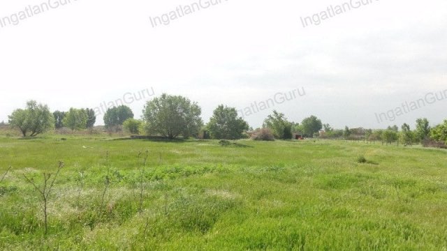 Eladó ipari ingatlan, Solton 196.93 M Ft / költözzbe.hu