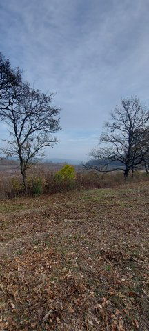 Eladó mezogazdasagi ingatlan, Balatoncsicsón 13 M Ft