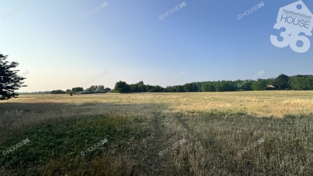 Eladó telek, Ballószögön 17.9 M Ft / költözzbe.hu