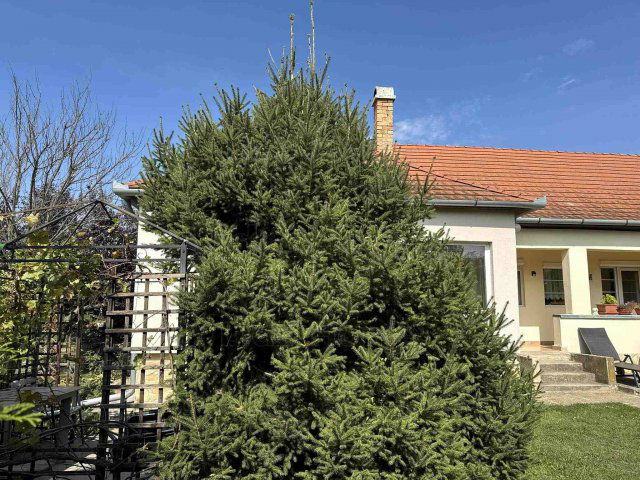 Eladó családi ház, Nagyberényen 49.9 M Ft, 4 szobás