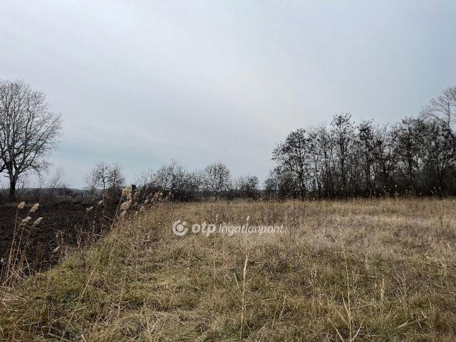 Eladó mezogazdasagi ingatlan, Nagykőrösön 4.9 M Ft, 2 szobás