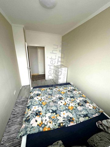 Kiadó téglalakás, albérlet, XIII. kerületben, Csuka utcában