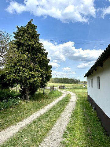 Eladó mezogazdasagi ingatlan, Lajosmizsén 190 M Ft, 6 szobás