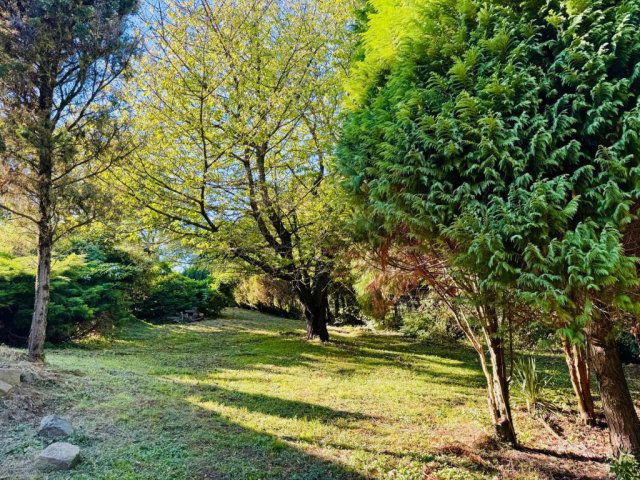 Eladó családi ház, Pálfiszegen 48 M Ft, 4 szobás