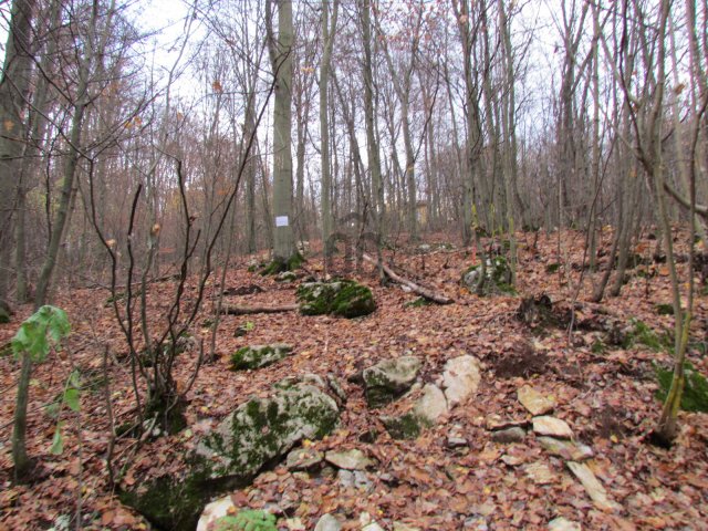 Eladó telek, Bükkszentkereszten 8.99 M Ft / költözzbe.hu