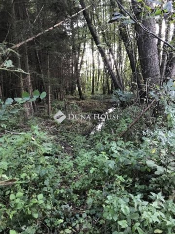 Eladó telek, Bagodon 12.49 M Ft / költözzbe.hu