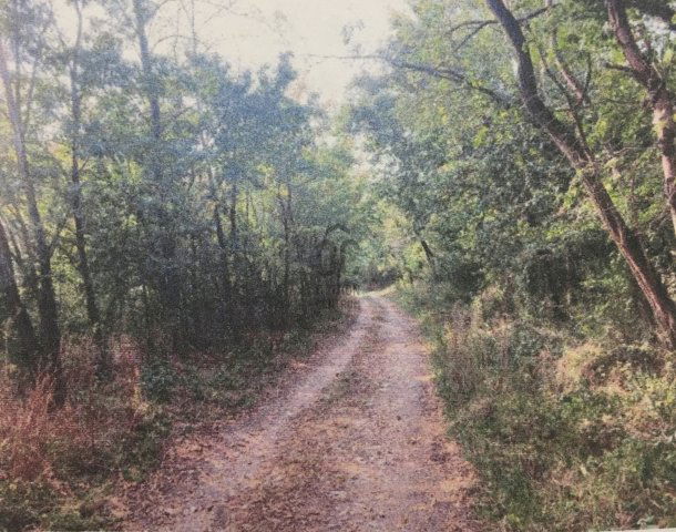 Eladó mezogazdasagi ingatlan, Pilisvörösváron 199 M Ft