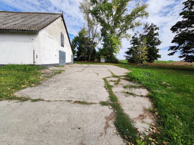 Eladó telek, Pakson 55 M Ft / költözzbe.hu