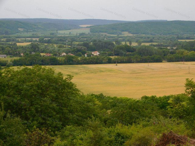 Eladó mezogazdasagi ingatlan, Zalaszentlászlón 3.8 M Ft