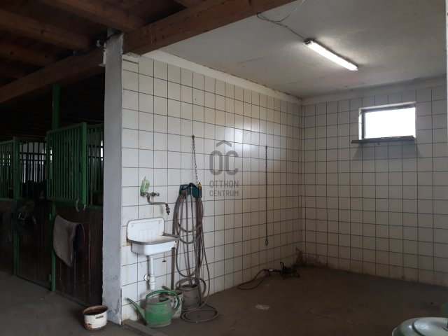 Eladó mezogazdasagi ingatlan, Tiszacsegén 400 M Ft