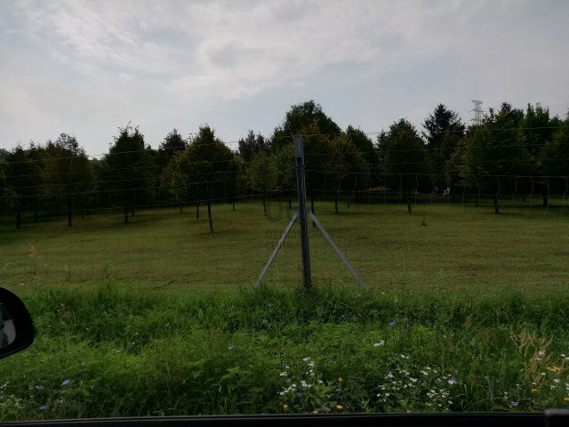 Eladó telek, Oroszlányban 69 M Ft / költözzbe.hu