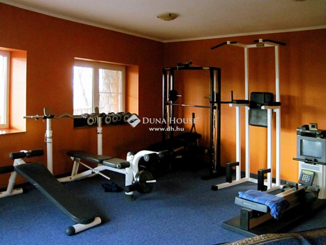 Eladó családi ház, Piliscsabán 462 M Ft, 5+3 szobás