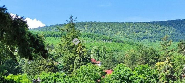 Eladó családi ház, Leányfaluban 43 M Ft, 4 szobás