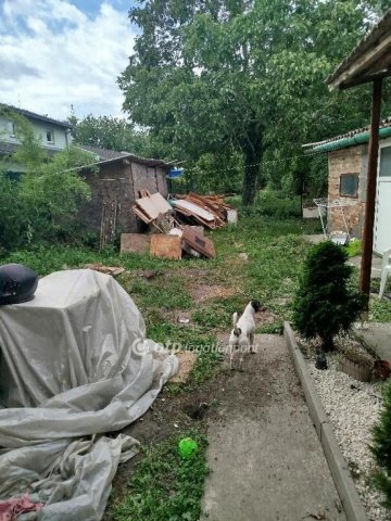 Eladó családi ház, Pécsett 25 M Ft, 1 szobás