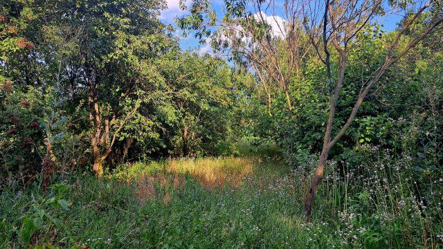 Eladó családi ház, Vilmányon 25 M Ft, 3 szobás