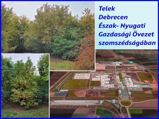 Eladó családi ház, Balmazújvárosban 68.5 M Ft, 2 szobás