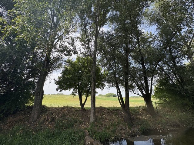 Eladó telek, Őrbottyánban 399 M Ft / költözzbe.hu