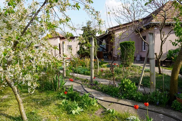 Eladó családi ház, Szigethalmon 72.9 M Ft, 3 szobás