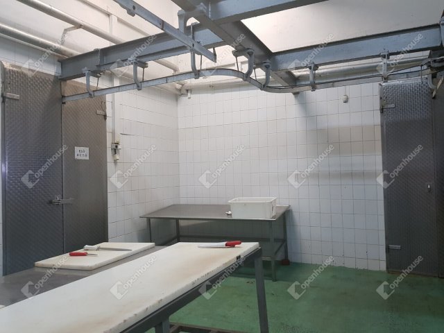 Eladó ipari ingatlan, Hódmezővásárhelyen 97 M Ft