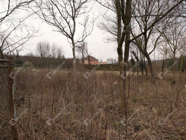 Eladó telek, Kiskutason 9.9 M Ft / költözzbe.hu