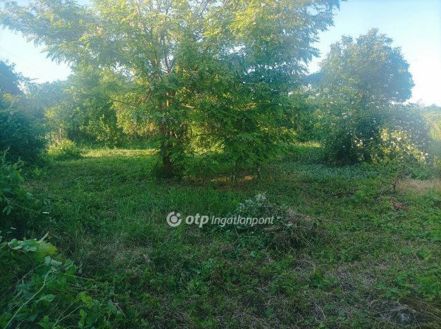 Eladó telek, Polgáron 3.5 M Ft / költözzbe.hu