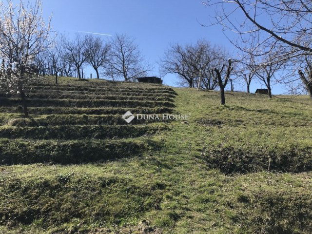 Eladó telek, Móron 15.5 M Ft / költözzbe.hu