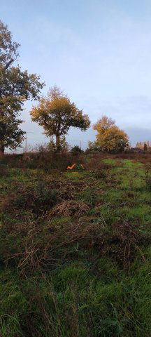 Eladó telek, Szigetszentmiklóson 28.6 M Ft / költözzbe.hu