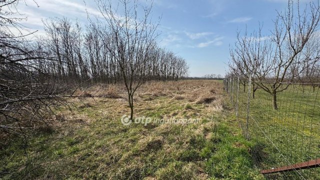 Eladó telek, Mihályházán 3.6 M Ft / költözzbe.hu