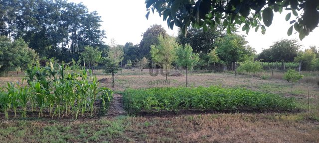 Eladó telek, Kecskeméten 9.9 M Ft / költözzbe.hu