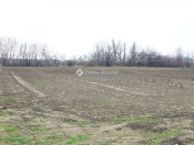 Eladó telek, Pilisen 7.5 M Ft / költözzbe.hu