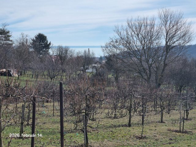 Eladó családi ház, Balatonalmádiban 98 M Ft, 3 szobás