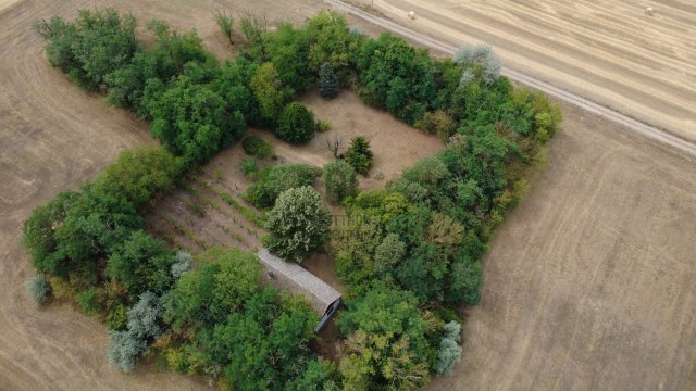 Eladó családi ház, Kecskeméten 29.8 M Ft, 1 szobás