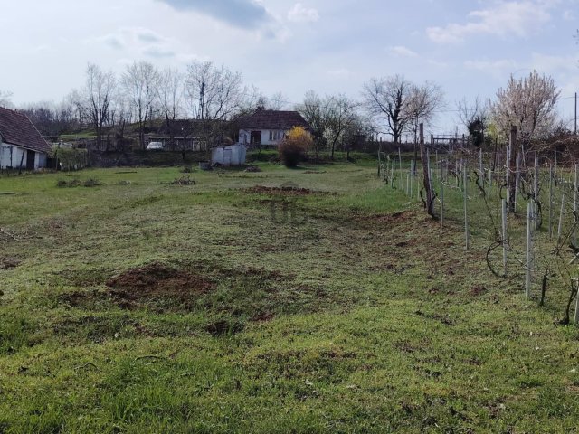 Eladó mezogazdasagi ingatlan, Szekszárdon 2.5 M Ft