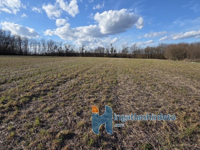 Eladó mezogazdasagi ingatlan, Alsópáhokon 8.5 M Ft