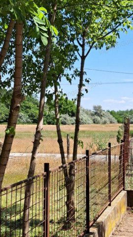 Eladó mezogazdasagi ingatlan, Lajosmizsén 99 M Ft