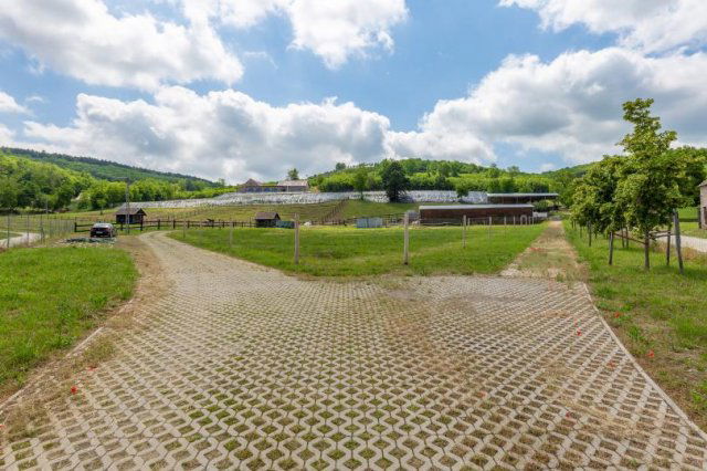 Eladó mezogazdasagi ingatlan, Szekszárdon 80 M Ft
