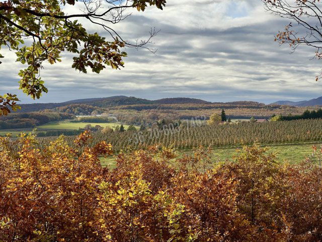 Eladó mezogazdasagi ingatlan, Berkenyén 33 M Ft