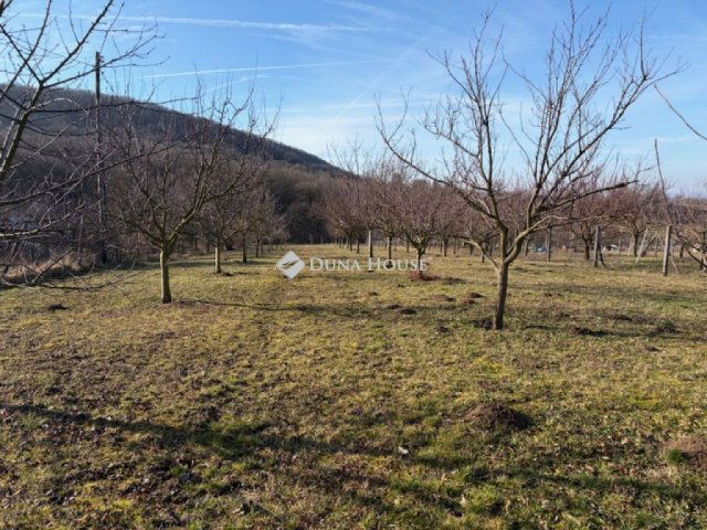 Eladó telek, Tatán 26 M Ft / költözzbe.hu