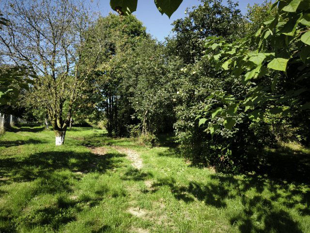 Eladó mezogazdasagi ingatlan, Alsópáhokon 24.99 M Ft