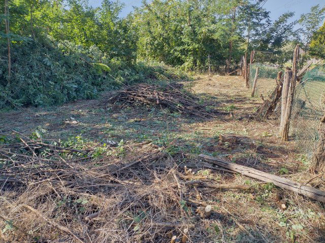 Eladó mezogazdasagi ingatlan, Budapesten, XVII. kerületben