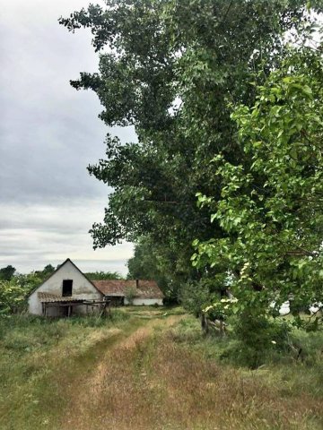 Eladó mezogazdasagi ingatlan, Sükösdön 16.9 M Ft