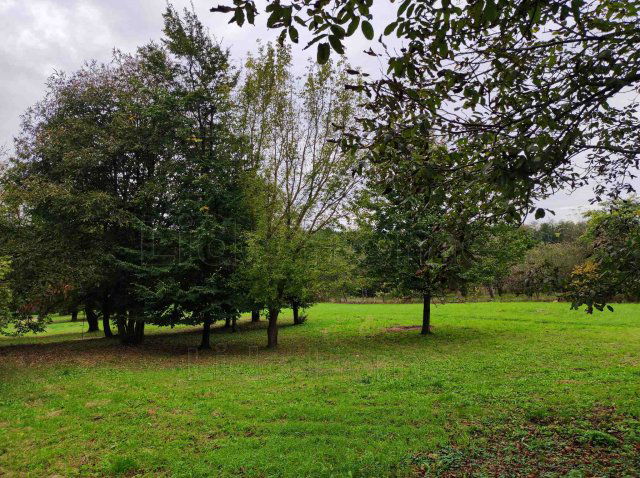 Eladó telek, Nemesbükön 10.9 M Ft / költözzbe.hu