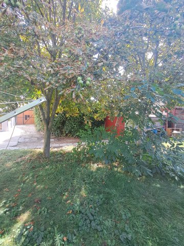 Eladó családi ház, Debrecenben 60 M Ft, 2 szobás