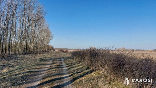 Eladó mezogazdasagi ingatlan, Hosszúpályin 990 M Ft