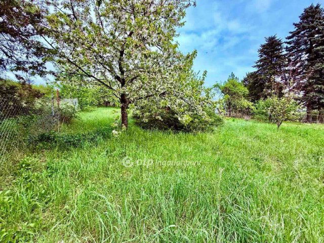 Eladó telek, Solymáron 64.99 M Ft / költözzbe.hu