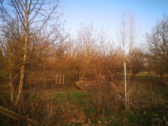 Eladó mezogazdasagi ingatlan, Gyulán 15.9 M Ft