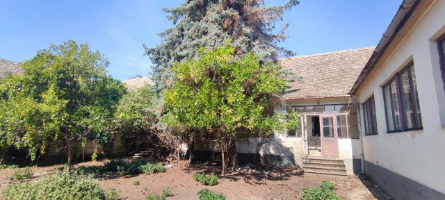 Eladó családi ház, Nagybaracskán, Szabadság téren 16.9 M Ft