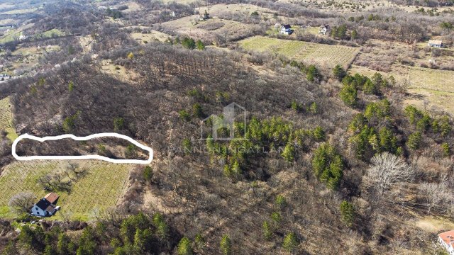 Eladó mezogazdasagi ingatlan, Pécselyen 9.9 M Ft